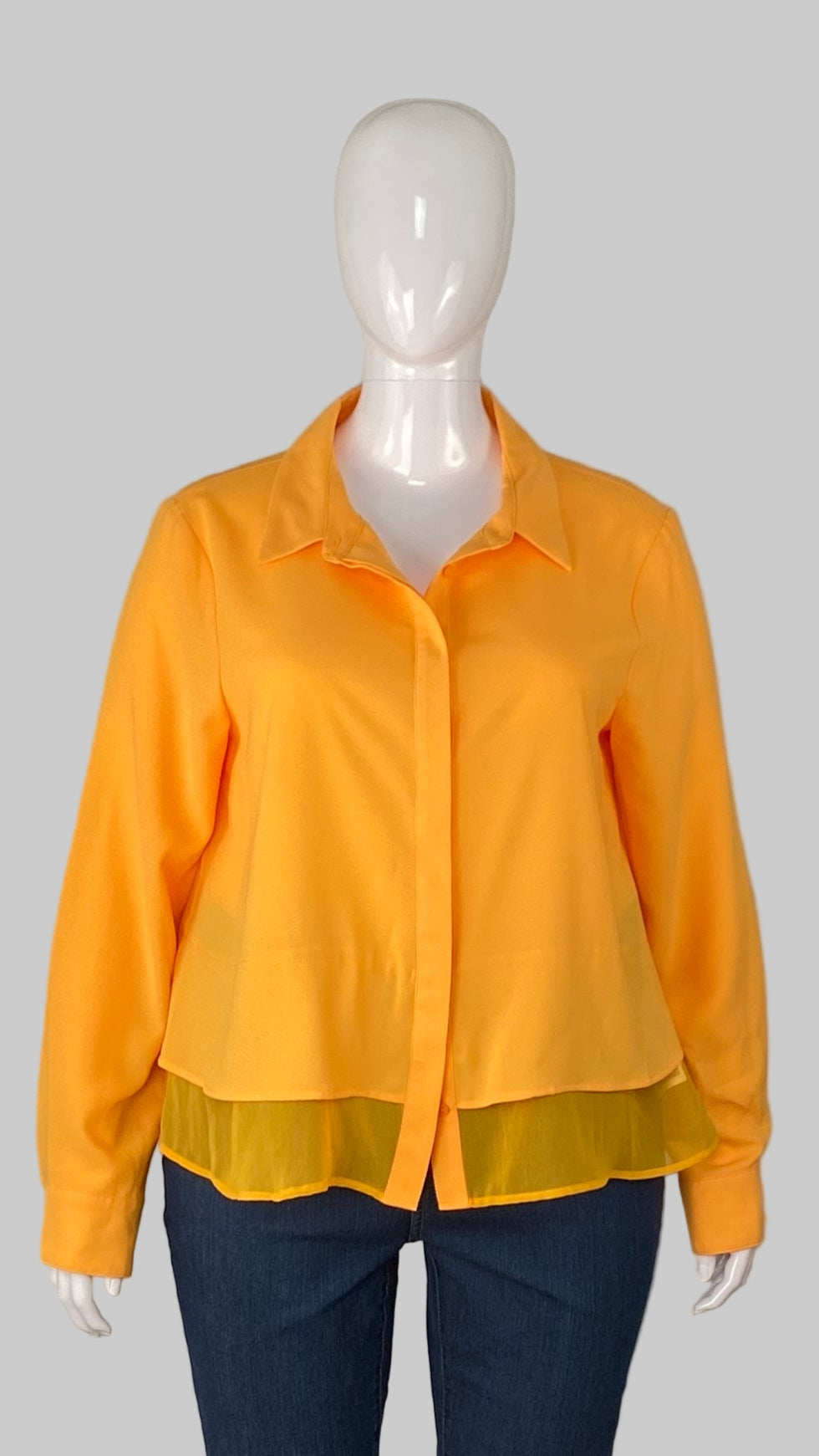DKNY blouse (XL)
