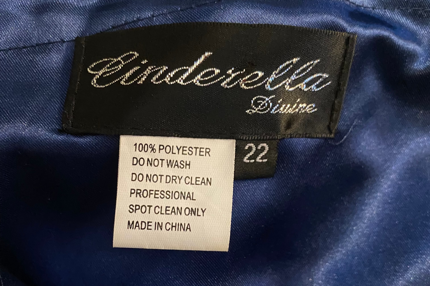 Cinderella Divine evening gown (22)