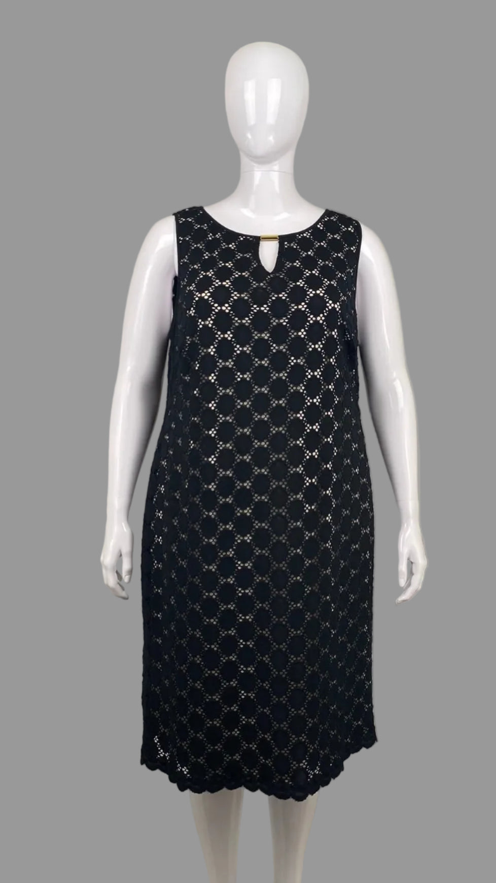 Ronni Nicole lace dress (20W)