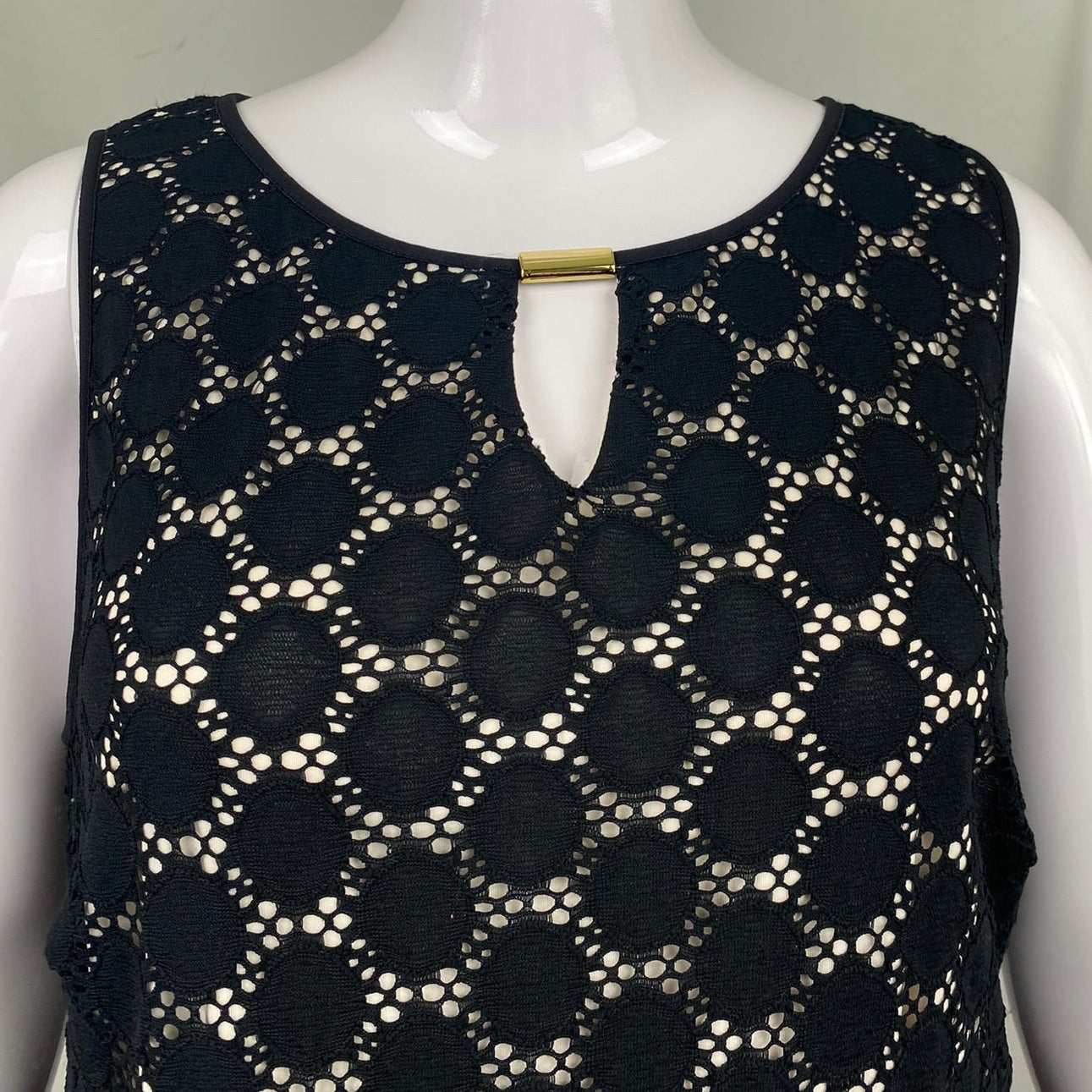 Ronni Nicole lace dress (20W)