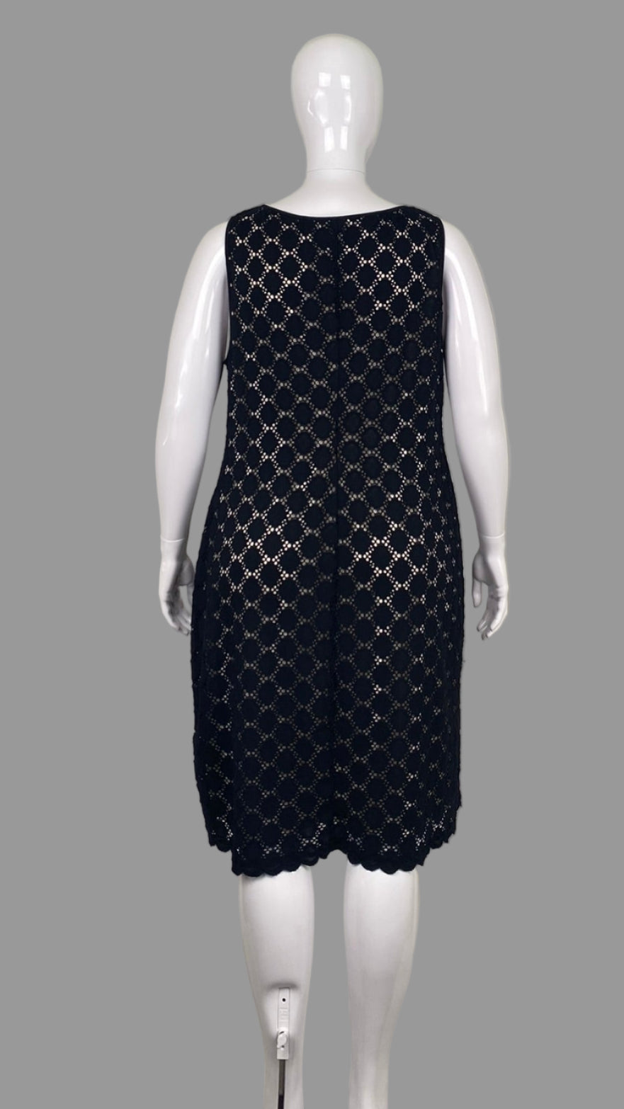 Ronni Nicole lace dress (20W)